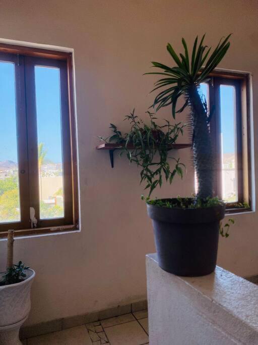 Casa Bahia 2 Blocks Malecon Amaizing Ocean View Apartment La Paz Exterior photo